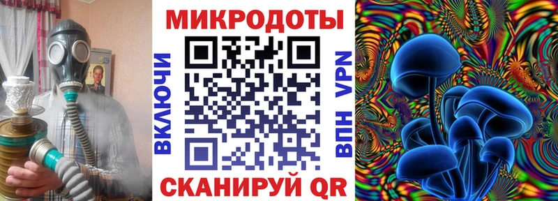 продажа наркотиков  Ртищево  Галлюциногенные грибы Psilocybe 